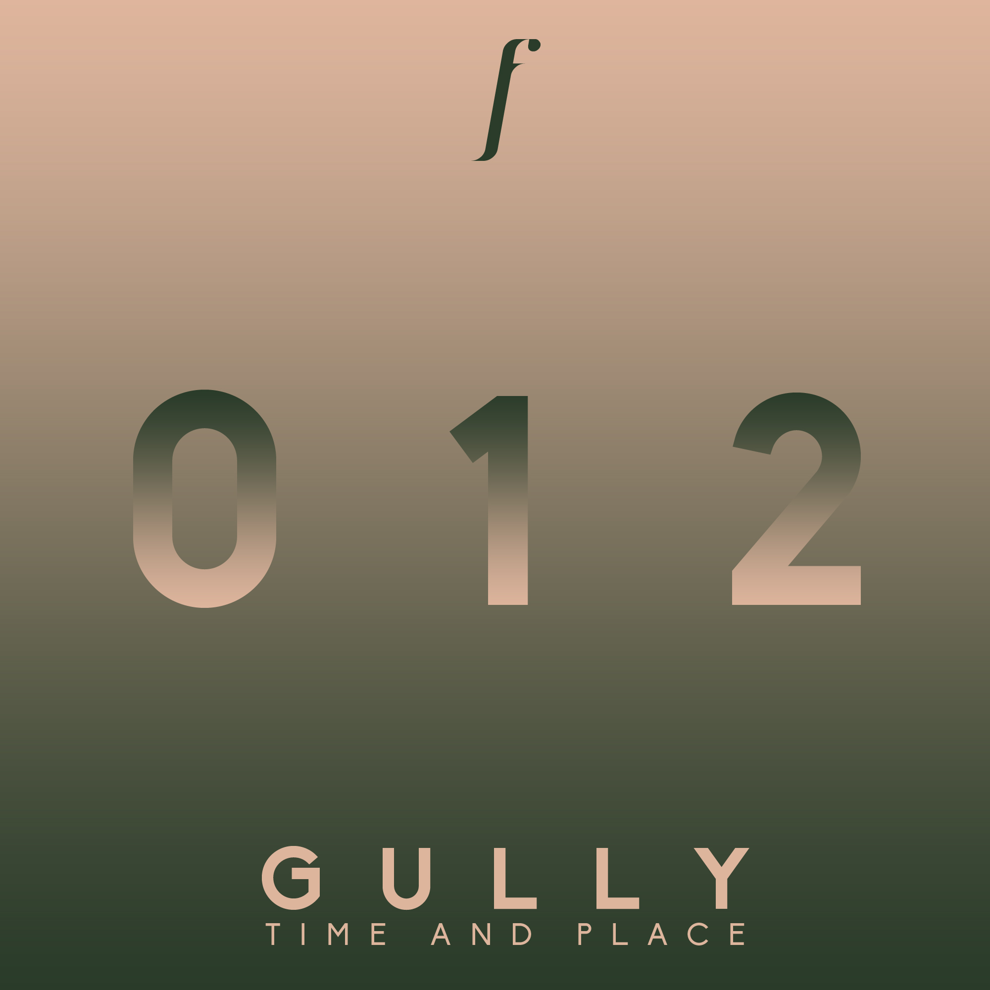 Gully