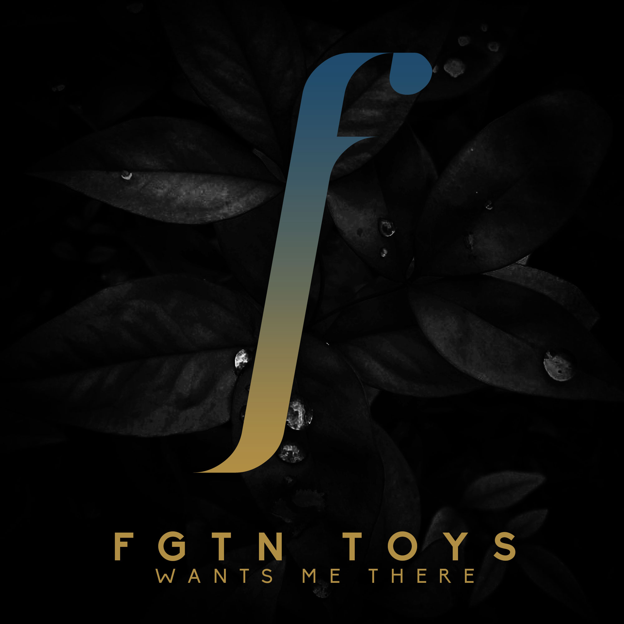 FGTN Toys - Wants Me There
